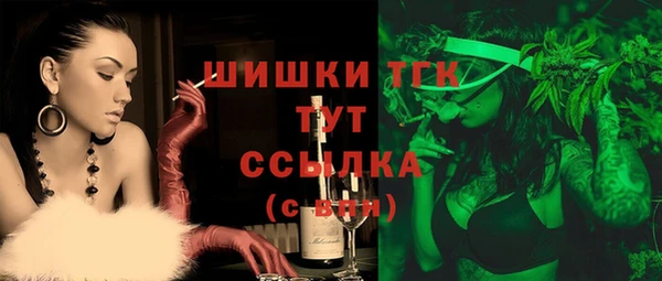 тгк Алзамай
