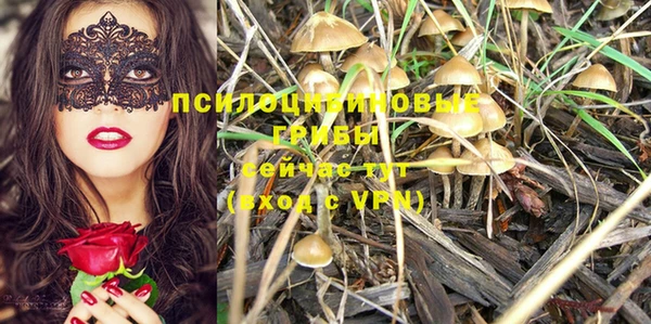 кокаин колумбия Алексин