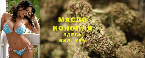 тгк Алзамай